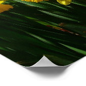 イエローダッフォジルスアイチーリー春の花 ポスター (角)