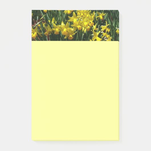 イエローダッフォジルスアイチーリー春の花 ポストイット (正面)