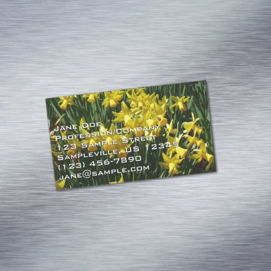 イエローダッフォジルスアイチーリー春の花 マグネット名刺 (インサイチュ)