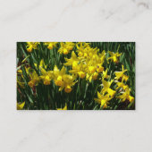 イエローダッフォジルスアイチーリー春の花 名刺 (裏面)