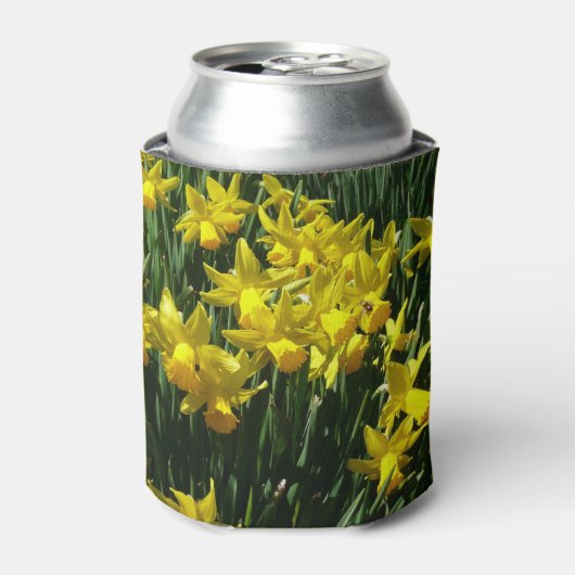 イエローダッフォジルスアイチーリー春の花 缶クーラー (缶正面)