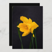 イエローダッフォディル サンキューカード (正面/裏面)