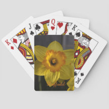 イエローダッフォディル