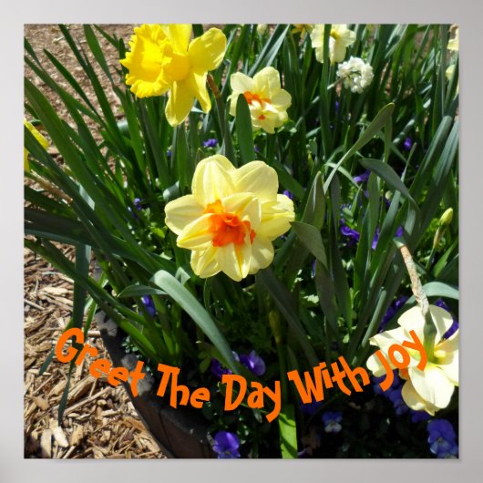 イエローダッフォディル ポスター (正面)