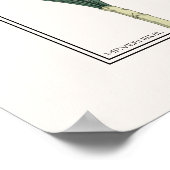 イエローダフォジルスヴェルヌイユイラストレーション ポスター (角)