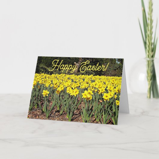 イエローダフォディルガーデンフローライースター シーズンカード (正面)