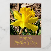 イエローダフォディルハッピーマザーズデイ金ゴールド 箔シーズンカード (正面)