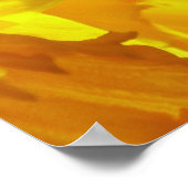 イエローダフォディルヨハネ3:16神のために愛されたポスター ポスター (角)