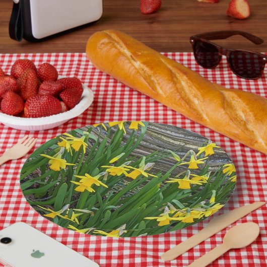 イエローダフォディル開花フローラ ペーパープレート (ピクニック)