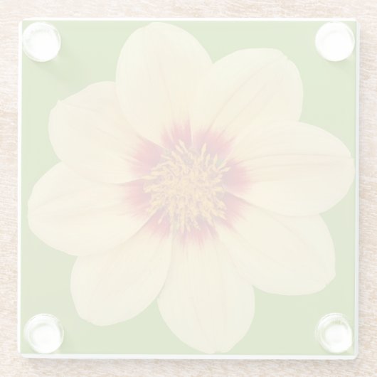 イエローダリアオングリーンフローラ ガラスコースター (裏面)