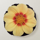 イエローダリアオンブラックフローラ ラウンドクッション (正面)