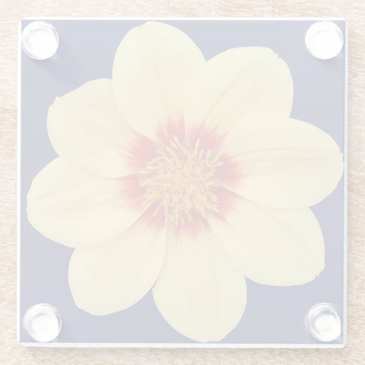 イエローダリアオンブルーフローラ ガラスコースター (裏面)