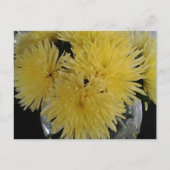 イエローダリア絵画ス シーズンポストカード (正面)