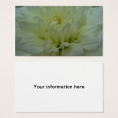 イエローダリア花 (正面&裏面)