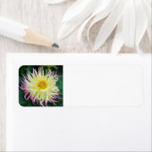 イエローダリア花 ラベル (インサイチュ)