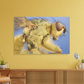 イエローダンフライ キャンバスプリント (インサイチュ (リビング))