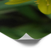 イエローチオンドゥシャフラワープリント ポスター (角)