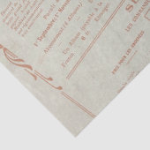 イエローチャットバードネストバタフライデカフランスのップ 薄葉紙 (詳細)