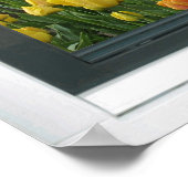 イエローチューリップブルースカイ春ウィンドウビューポスター ポスター (角)