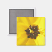 イエローチューリップ露出磁石 マグネット (正面/裏面)