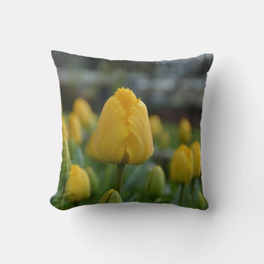 イエローチューリップin the field装飾用クッション クッション (正面)
