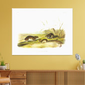 イエローチーフの牧草地ネズミ、タイガヴォルバイオードボン キャンバスプリント (インサイチュ (リビング))