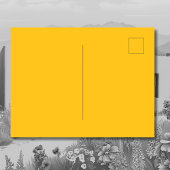 イエローツィアサンプーロヌエボメキシコ ポストカード