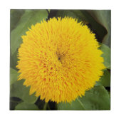 イエローテディベアサンフラワーフローラ タイル (正面)