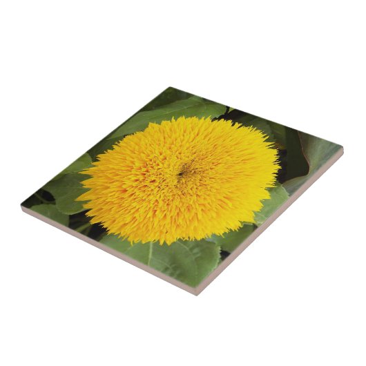 イエローテディベアサンフラワーフローラ タイル (側面)