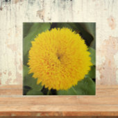 イエローテディベアサンフラワーフローラ タイル