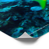 イエローテールスナッパー ポスター (角)