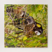 イエローテールブラックコカットオオーストラリア ジグソーパズル (横)