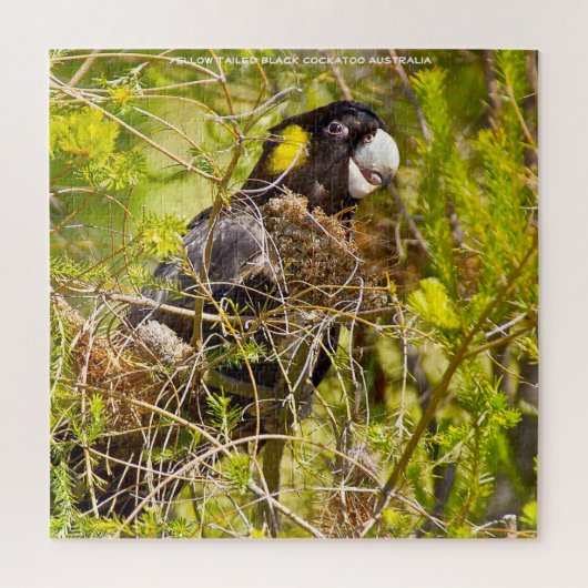 イエローテールブラックコカットオオーストラリア ジグソーパズル (縦)