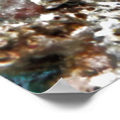 イエローテールラッセ ポスター (角)