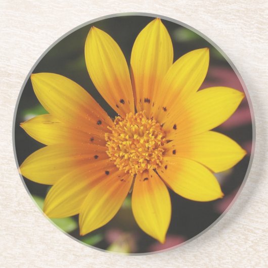 イエローデイジーコースター コースター (正面)