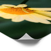 イエローデイジーフラワークローズアップ鏡抽象芸術 ポスター (角)