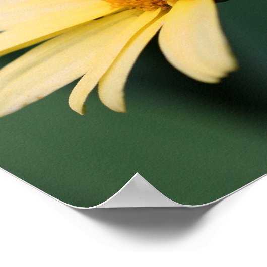 イエローデイジーフラワー鏡抽象芸術 ポスター (角)