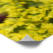 イエローデイジーフローラ配置プリント ポスター (角)