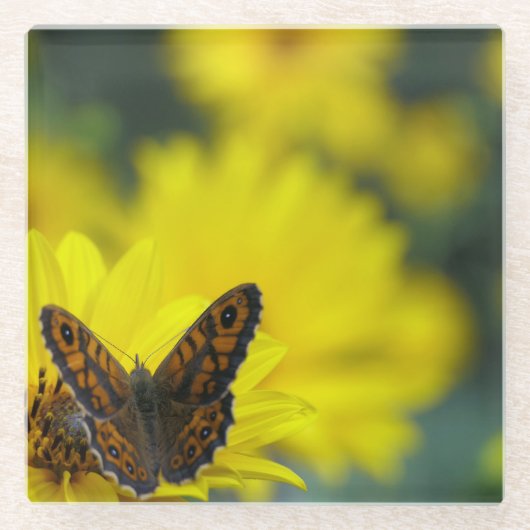 イエローデイジーヘレニウム ガラスコースター (正面)