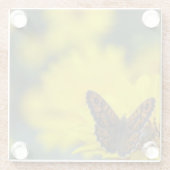 イエローデイジーヘレニウム ガラスコースター (裏面)