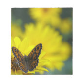 イエローデイジーヘレニウム ノートパッド (正面)