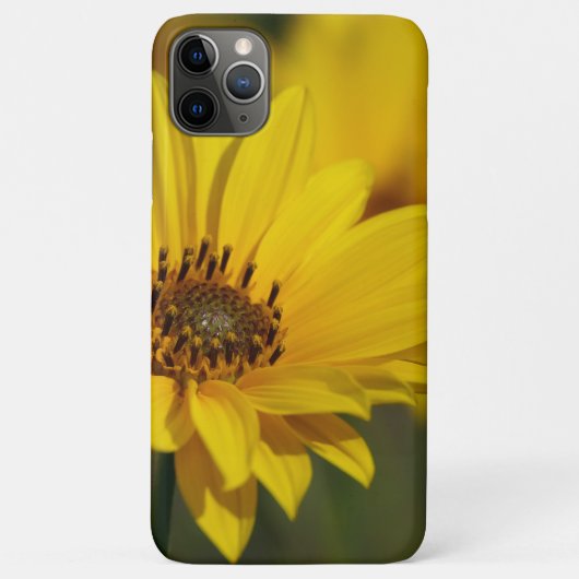 イエローデイジーヘレニウム Case-Mate iPhoneケース (裏面)