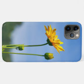 イエローデイジーヘレニウム Case-Mate iPhoneケース (裏面(横))