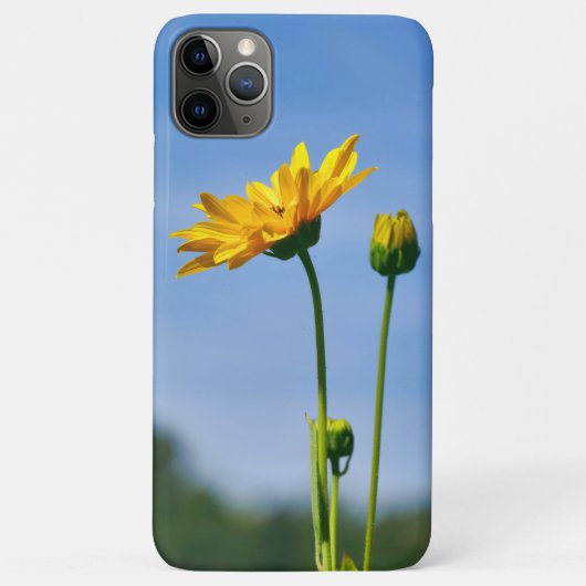 イエローデイジーヘレニウム Case-Mate iPhoneケース (裏面)