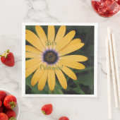 イエローデイジーレッツ祝ー (インサイチュ)