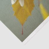 イエローデイジー妖精ガールデクページ 薄葉紙 (詳細)