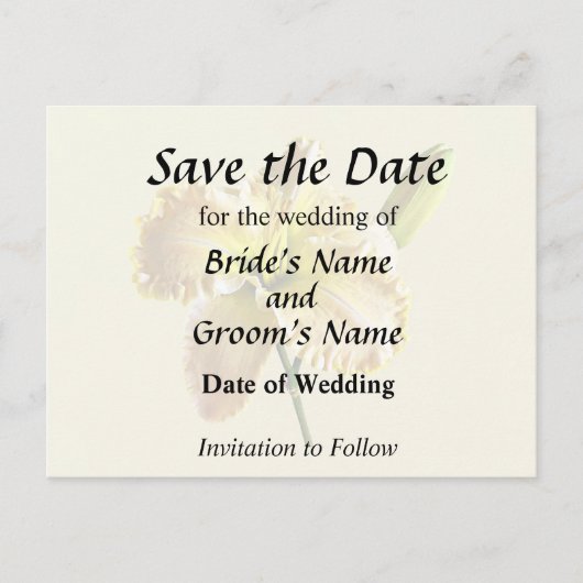 イエローデイリリー ウェディング用品 案内ポストカード (正面)