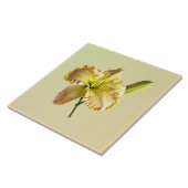 イエローデイリリー タイル (側面)