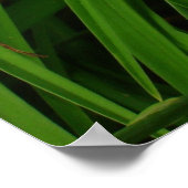 イエローデイリーポスター ポスター (角)