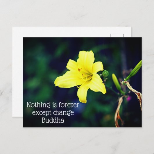 イエローデイリー感動的引用文 ポストカード (正面/裏面)